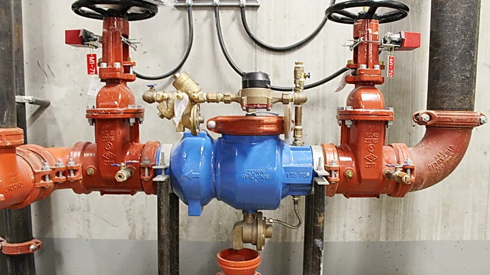 Large commercial backflow prevention assembly with valves and test ports